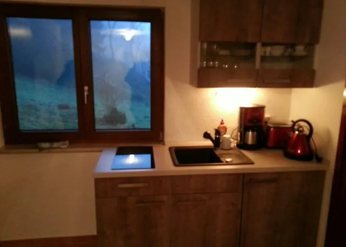 Feriehus Moosbachtal Thueringer Wald Bei Oberhof Rotterode