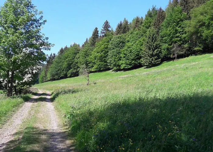 Moosbachtal Thueringer Wald Bei Oberhof *